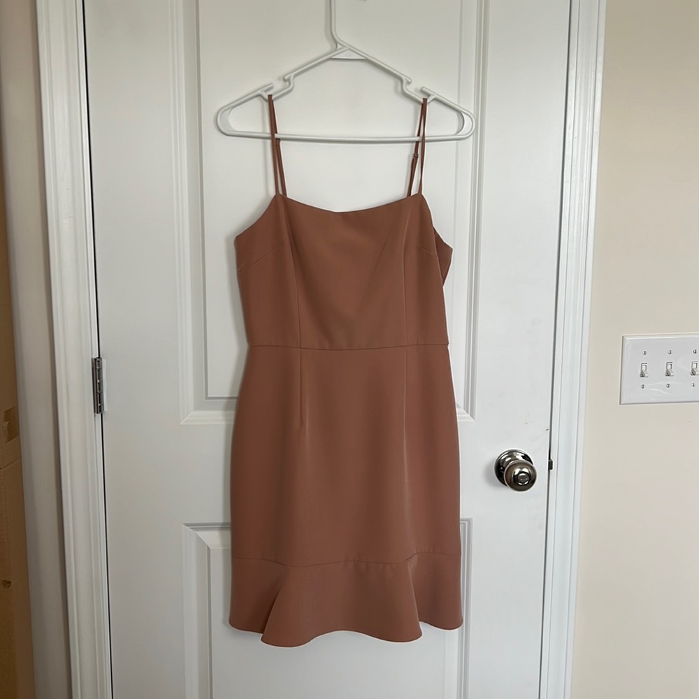 Gianni Bini new with tags size 4 blush dress